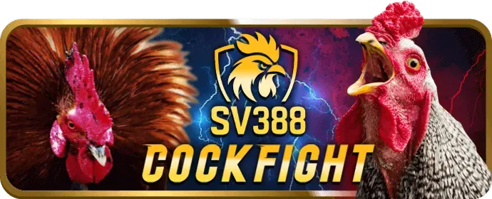 Khuyến mãi và vòng quay miễn phí slot tại mm99 bet
